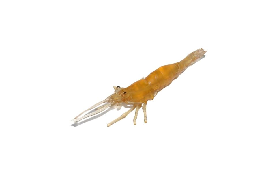 Captain 3054 Silikon Karides 7.5cm Suni Yem 5li Paket